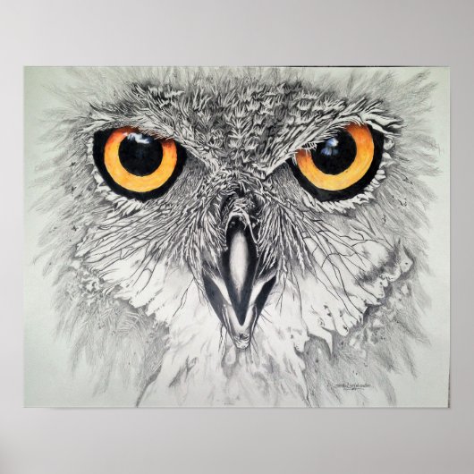 注意深い目 ポスター (正面)