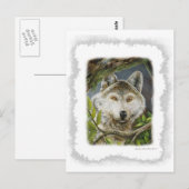 注意深い目 ポストカード (正面/裏面)