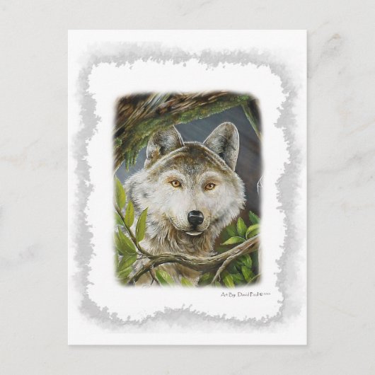 注意深い目 ポストカード (正面)