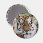 注意深い目 マグネット (正面/裏面)