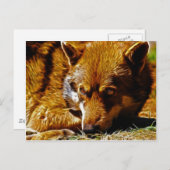 注意深い ポストカード (正面/裏面)