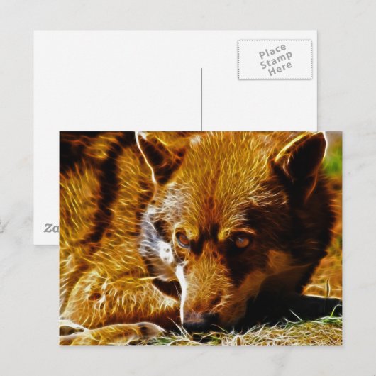 注意深い ポストカード (正面/裏面)