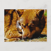 注意深い ポストカード (正面)