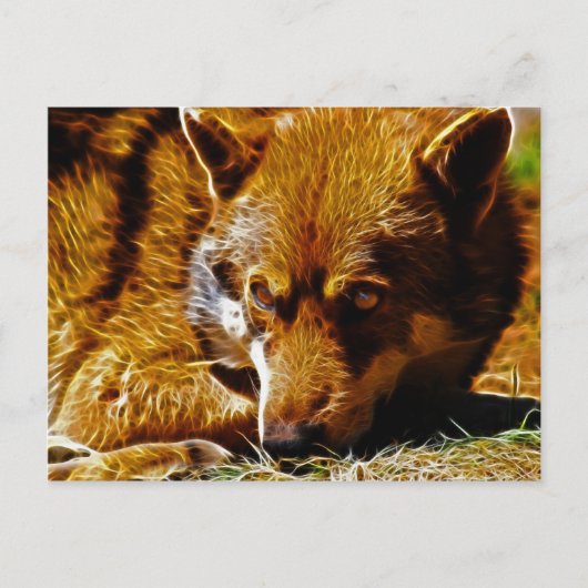 注意深い ポストカード (正面)