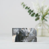 注意深く黒いラブラドル・レトリーバー犬の名刺 名刺 (スタンド正面)