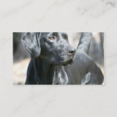 注意深く黒いラブラドル・レトリーバー犬の名刺 名刺 (裏面)