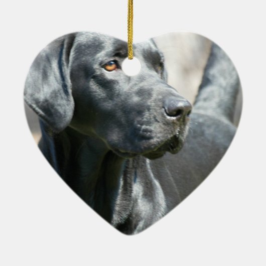 注意深く黒いラブラドールのRertriever犬のオーナメント セラミックオーナメント (裏面)