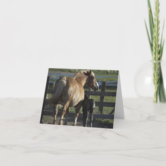 注目されるカード カード (正面)