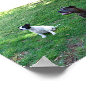 注目していたスタッフ ポスター (角)