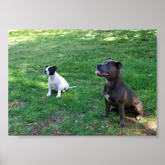 注目していたスタッフ ポスター (正面)