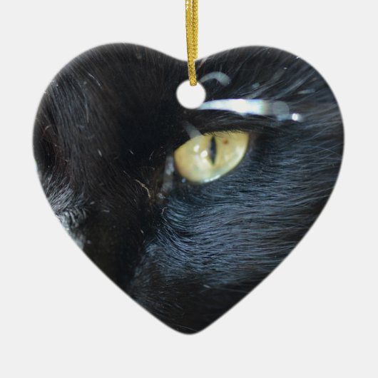 注目している猫 セラミックオーナメント (正面)