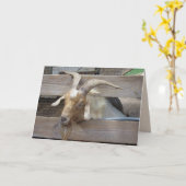 注目を求めるかわいいヤギのグリーティングカード カード (黄色い花)