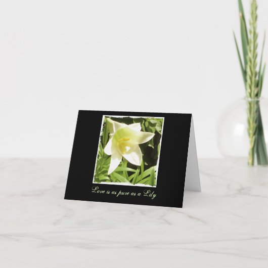 注空白の票 カード (正面)