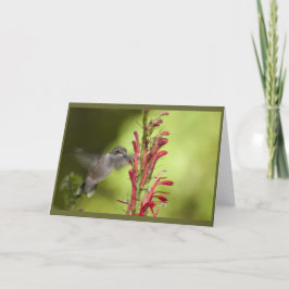 注空白の票 カード