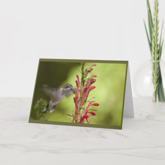 注空白の票 カード (正面)