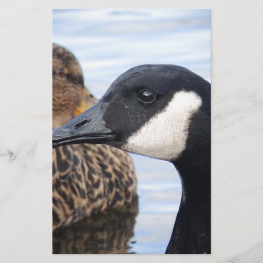 注視 便箋 (正面)