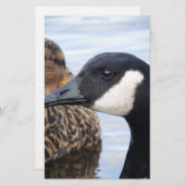 注視 便箋 (正面/裏面)