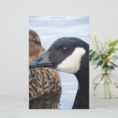 注視 便箋 (スタンド正面)