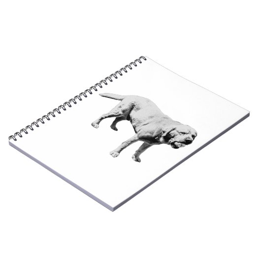 注遊記 ノートブック (左側)