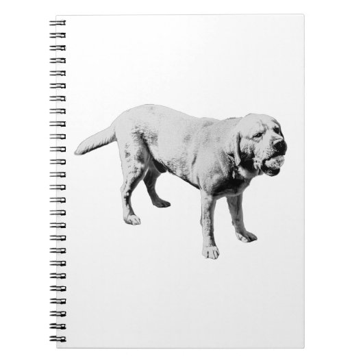 注遊記 ノートブック (正面)