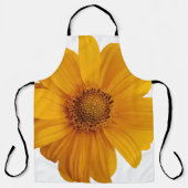 注釈アー芸術的ト エプロン (正面)