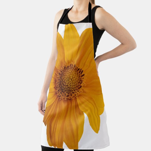 注釈アー芸術的ト エプロン (インサイチュ)