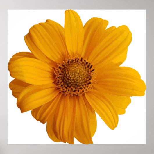 注釈技芸術的術 ポスター (正面)