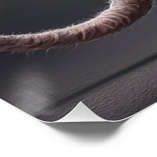 注頼ぐなさい！ ポスター (コーナー)