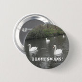泳いでいるボタンの白鳥私は白鳥を愛します 缶バッジ (正面&裏面)