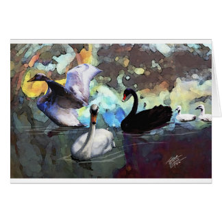 泳いでいる白鳥