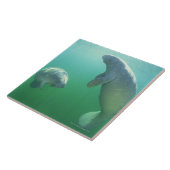 泳いでいる組のフロリダのマナティー タイル (側面)