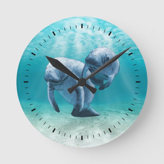 泳いでいる2匹のマナティー ラウンド壁時計 (正面)