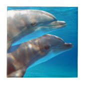 泳いでいる2頭のイルカ タイル (正面)