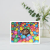 泳ぎ去った ポストカード (スタンド正面)