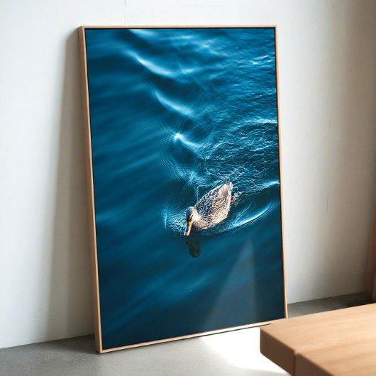 泳ぐアヒル ポスター
