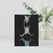 泳ぐカエル ポストカード (スタンド正面)