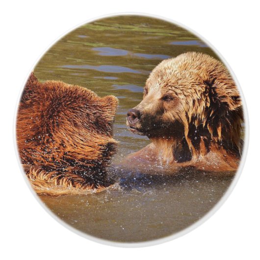 泳ぐクマの陶器の取っ手 セラミックノブ (正面)