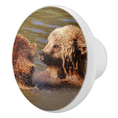 泳ぐクマの陶器の取っ手 セラミックノブ (右)