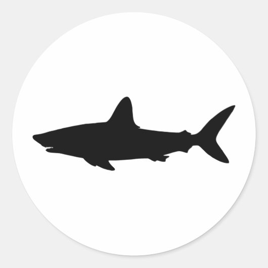 泳ぐサメ ラウンドシール (正面)