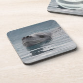 泳ぐシールのヒョウ コースター (左側)