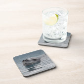 泳ぐシールのヒョウ コースター (右側)