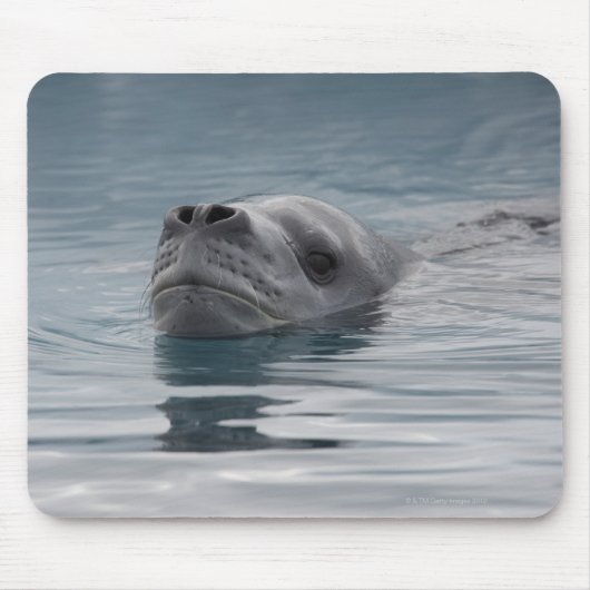 泳ぐヒョウ マウスパッド (正面)
