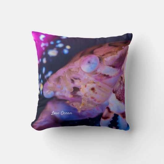 泳ぐ人カニ（リスソカルシヌラエビミアーズ， 1886） クッション (正面)