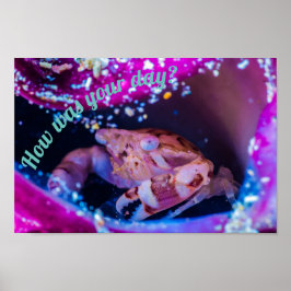 泳ぐ人カニ（リスソカルシヌラエビミアーズ， 1886） ポスター