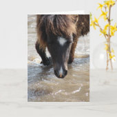 泳ぐ馬の誕生日 カード (黄色い花)