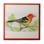 洋式タネガーの鳥のセラミックのタイル タイル (正面)