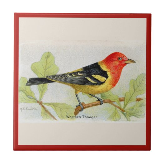 洋式タネガーの鳥のセラミックのタイル タイル (正面)