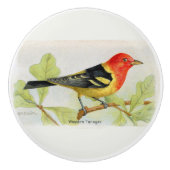 洋産タネガーの装飾鳥 セラミックノブ (正面)