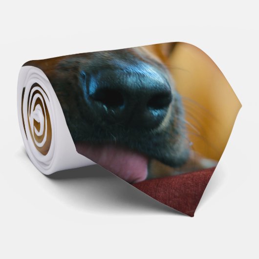 洒落男のタイ ネクタイ (ロール)