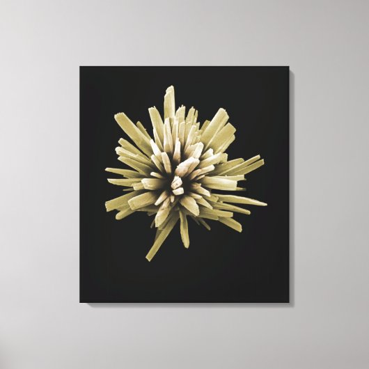 洗剤結晶 キャンバスプリント (正面)